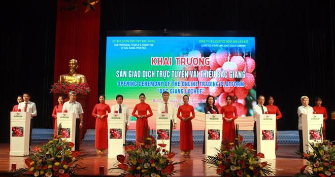 北江省举行荔枝产销对接视频会议 ảnh 1 北江省举行荔枝产销对接视频会议 ảnh 1