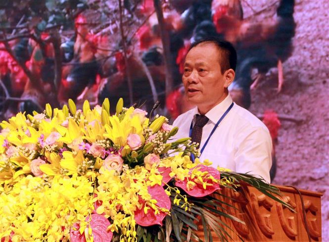 北江省举行荔枝产销对接视频会议 ảnh 2 北江省举行荔枝产销对接视频会议 ảnh 2