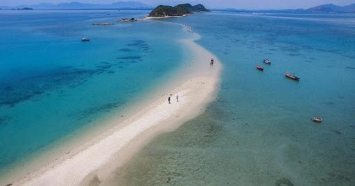 积极响应世界海洋日和2020年越南海洋岛屿周 ảnh 1 积极响应世界海洋日和2020年越南海洋岛屿周 ảnh 1