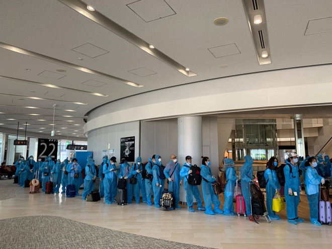 340越南公民从日本安全回国 ảnh 1 340越南公民从日本安全回国 ảnh 1