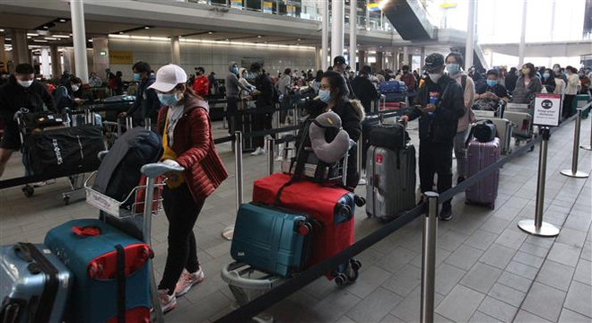 近340名越南公民从英国安全返回越南 ảnh 1