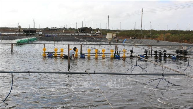 越南通过绿色增长应对气候变化 ảnh 1 越南通过绿色增长应对气候变化 ảnh 1