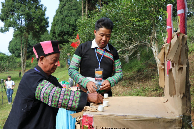 安沛省溪江山雪茶树得到推崇 ảnh 1