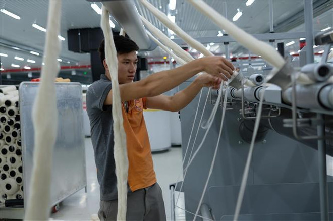 大叻羊毛纱线纺纱厂首次向日本出口天然羊毛纤维 ảnh 1 大叻羊毛纱线纺纱厂首次向日本出口天然羊毛纤维 ảnh 1