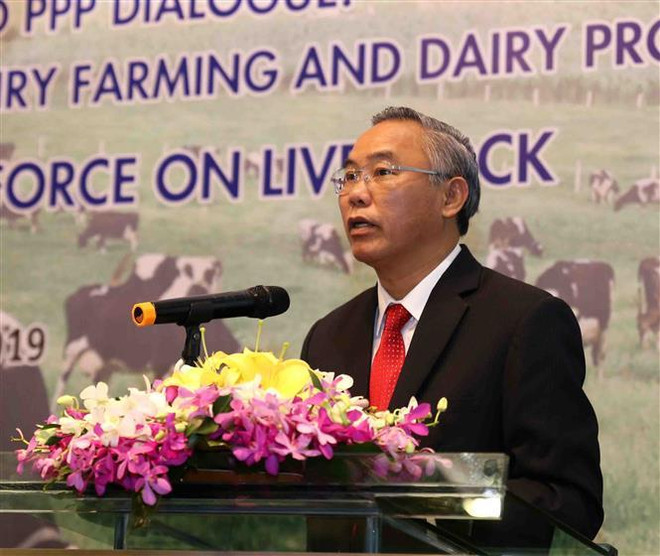 越南奶牛养殖业发展潜力巨大 ảnh 2 越南奶牛养殖业发展潜力巨大 ảnh 2