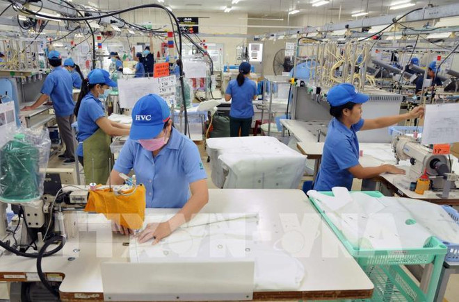 胡志明市出口加工区和工业园区需要5.1万名劳动者 ảnh 1 胡志明市出口加工区和工业园区需要5.1万名劳动者 ảnh 1