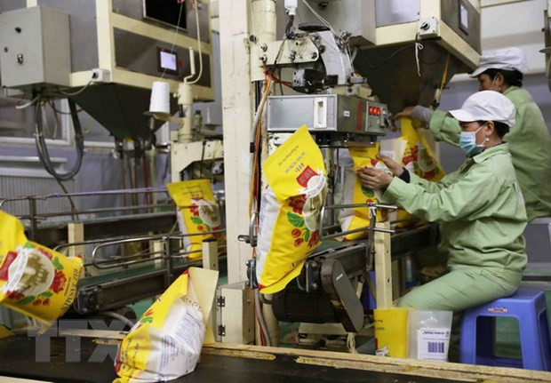 天赐农产品股份公司对外出口逾4500吨大米 ảnh 1 天赐农产品股份公司对外出口逾4500吨大米 ảnh 1