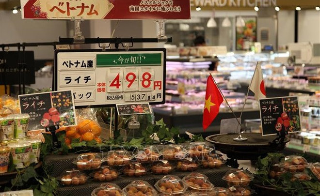 越南对日本出口的农水产品和食品的空间巨大 ảnh 1 越南对日本出口的农水产品和食品的空间巨大 ảnh 1