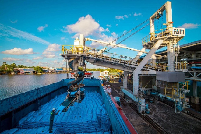  PVCFC拟在销售淡季出口超过10万吨氮肥 ảnh 1