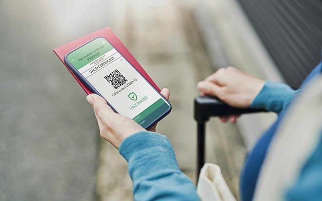 14个国家和地区承认越南的疫苗护照 ảnh 1