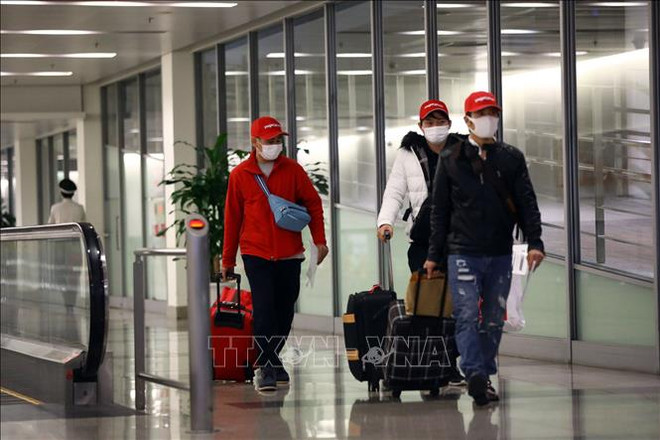 截至2022年2月14日往返越南外国旅客约15.3万人次 ảnh 1