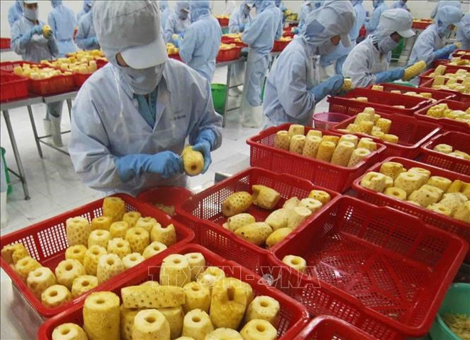 越南对日本出口的农水产品和食品的空间巨大 ảnh 2 越南对日本出口的农水产品和食品的空间巨大 ảnh 2