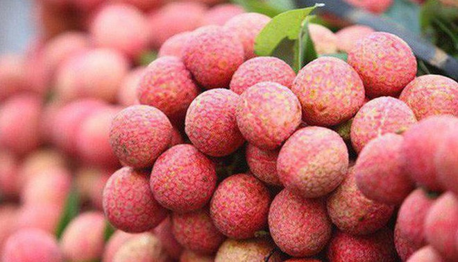 越南荔枝出口市场占有率位居世界第二 ảnh 1 越南荔枝出口市场占有率位居世界第二 ảnh 1
