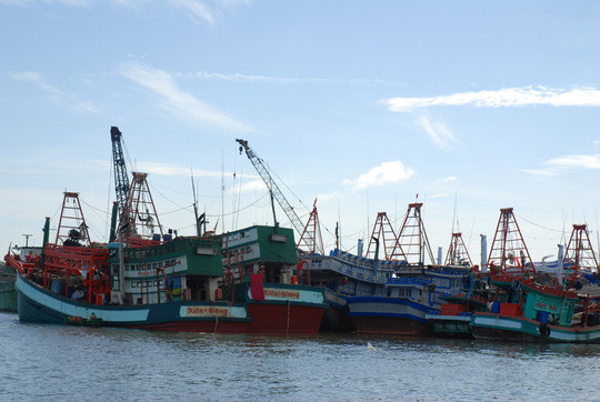 巴地头顿省同全国一道解决欧盟“黄牌”警告问题 ảnh 1