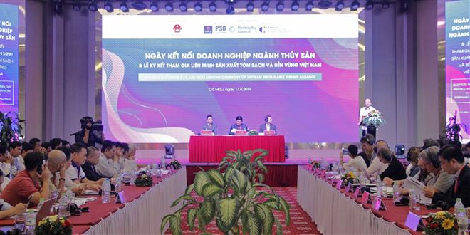 越南安全和可持续虾类生产联盟正式成立 ảnh 3
