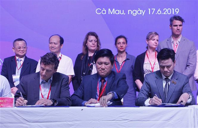 越南安全和可持续虾类生产联盟正式成立 ảnh 1