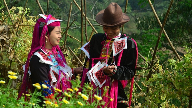 越南青衣瑶族的婚俗 ảnh 1 越南青衣瑶族的婚俗 ảnh 1