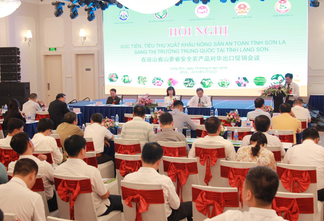 山萝省采取措施促进绿色农产品对中国市场出口 ảnh 1