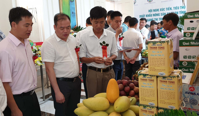 山萝省采取措施促进绿色农产品对中国市场出口 ảnh 2