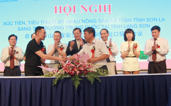 山萝省采取措施促进绿色农产品对中国市场出口 ảnh 3