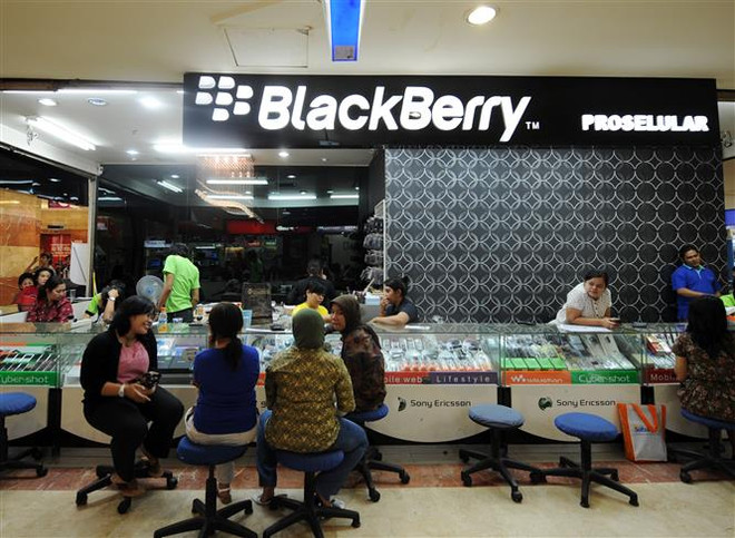 印尼将全力推动电子商务发展 ảnh 1 印尼将全力推动电子商务发展 ảnh 1