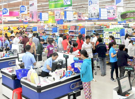  胡志明市在不利条件下大力发展食品加工业发展 ảnh 3