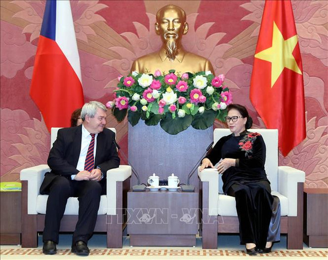 阮氏金银会见捷克众议院副议长沃伊杰赫•菲利普 ảnh 1 阮氏金银会见捷克众议院副议长沃伊杰赫•菲利普 ảnh 1