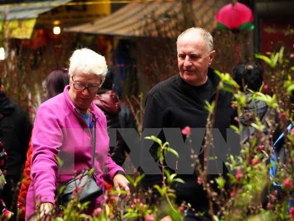 外国人在越南欢庆元旦节 ảnh 1 外国人在越南欢庆元旦节 ảnh 1