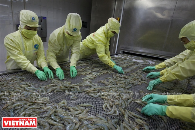 明富水产集团 ảnh 1 明富水产集团 ảnh 1