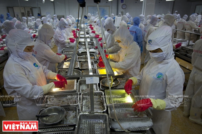 明富水产集团 ảnh 2 明富水产集团 ảnh 2