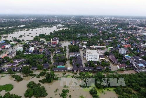 泰国南部强降雨导致洪水泛滥 ảnh 1