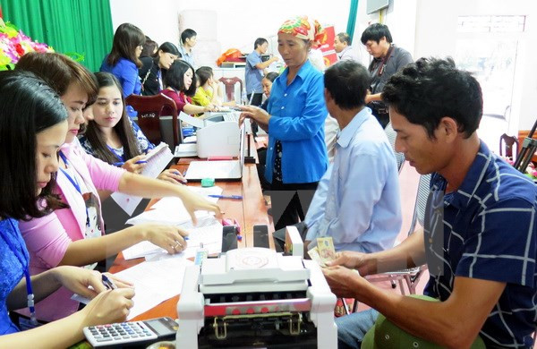 尽快完成海洋环境事故赔偿任务 ảnh 1