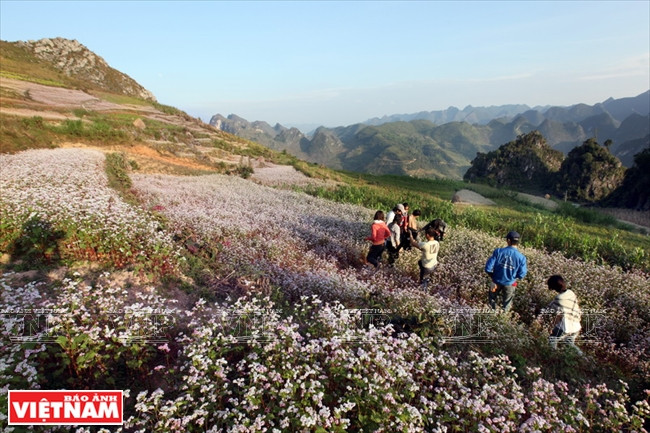 河江岩石高原 ảnh 3