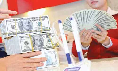 9日越盾兑换美元中心汇率上涨13越盾 ảnh 1