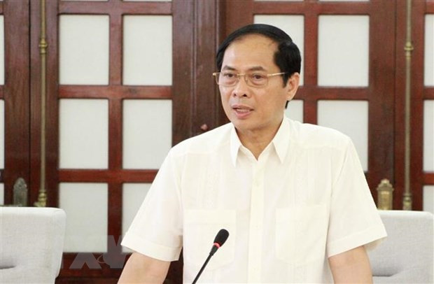 提高领事和公民保护工作的成效 ảnh 1 提高领事和公民保护工作的成效 ảnh 1