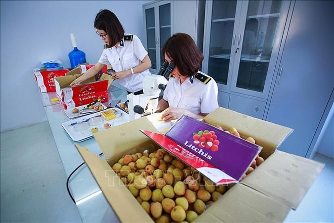 越南第十五届国会第五次会议：力争在北部建立出口水果辐照处理中心 ảnh 2