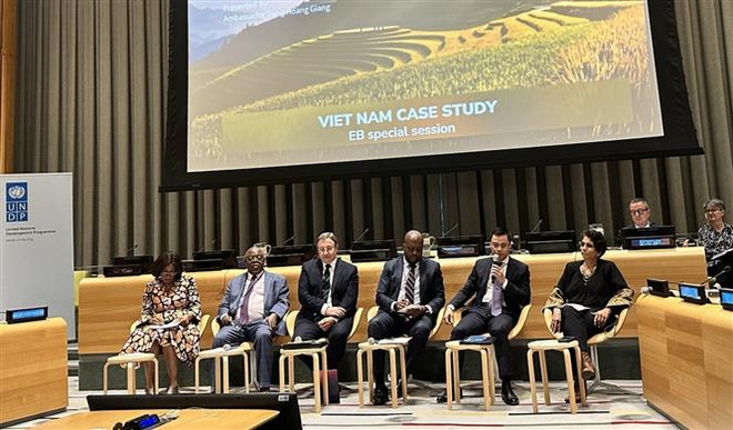 联合国开发计划署:越南发展和融入道路上可靠和重要的伙伴 ảnh 2 联合国开发计划署:越南发展和融入道路上可靠和重要的伙伴 ảnh 2