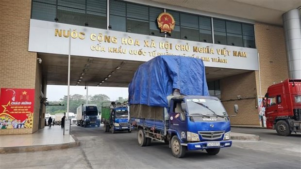 越南通过老街国际口岸向中国出口5400吨荔枝 ảnh 1 越南通过老街国际口岸向中国出口5400吨荔枝 ảnh 1