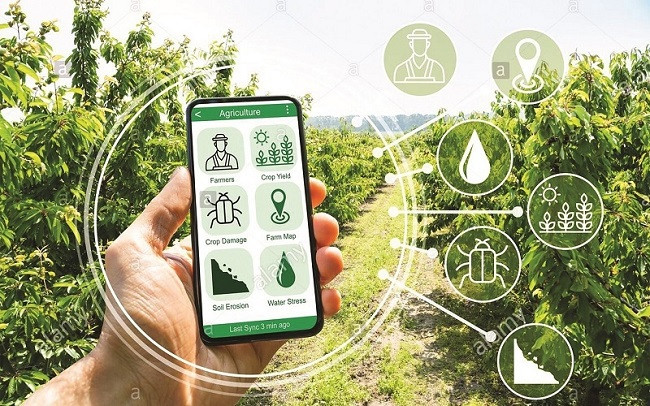 北江省推进新农村建设数字化转型 ảnh 1 北江省推进新农村建设数字化转型 ảnh 1