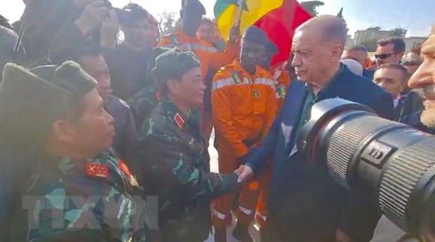 越南-土耳其建交45周年:搭建友谊桥梁的小砖块 ảnh 1 越南-土耳其建交45周年:搭建友谊桥梁的小砖块 ảnh 1