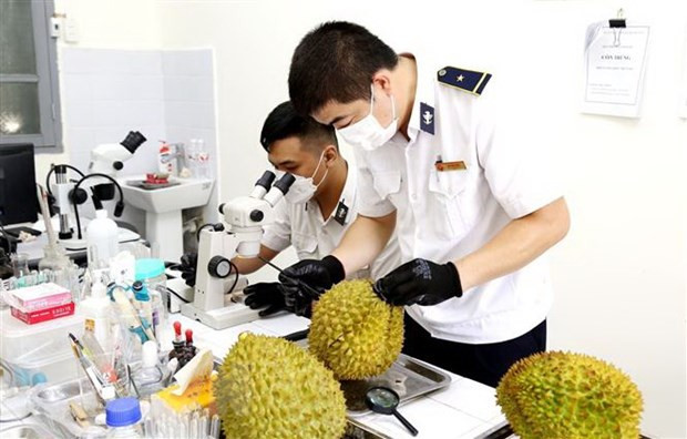 越南建议中国海关总署早日签署水产品食品安全与检疫议定书 ảnh 1