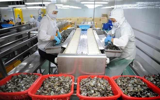 国际组织:公共投资促进长期增长 ảnh 1 国际组织:公共投资促进长期增长 ảnh 1