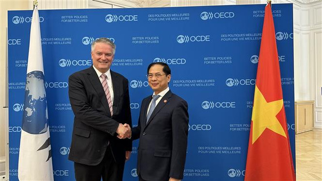 OECD愿为越南促进经济绿色和可持续发展提供支持 ảnh 1 OECD愿为越南促进经济绿色和可持续发展提供支持 ảnh 1