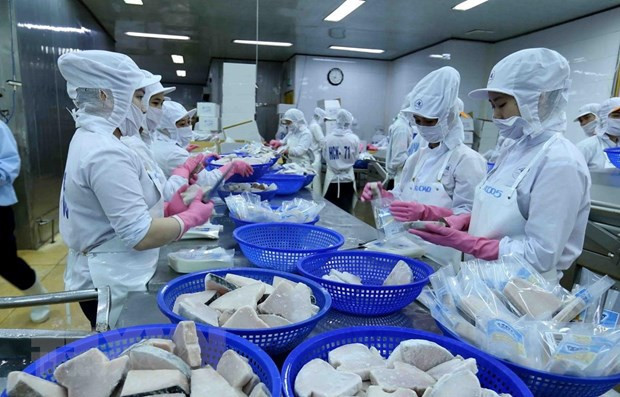 越南力争到2030年将越南标准体系和国际标准体系调和比达75% ảnh 2 越南力争到2030年将越南标准体系和国际标准体系调和比达75% ảnh 2