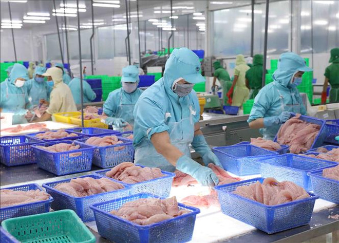对外出口最佳产品就是越南最优质产品 ảnh 1 对外出口最佳产品就是越南最优质产品 ảnh 1