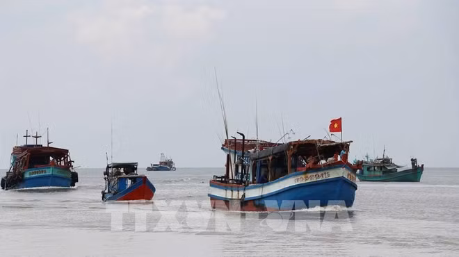 解除IUU“黄牌警告”：渔业界需加倍努力 ảnh 1