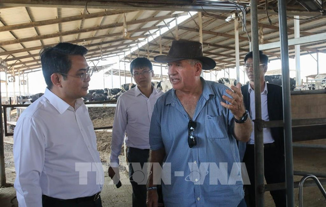 越南计划与投资部代表团赴以色列了解集体经济模式 ảnh 1