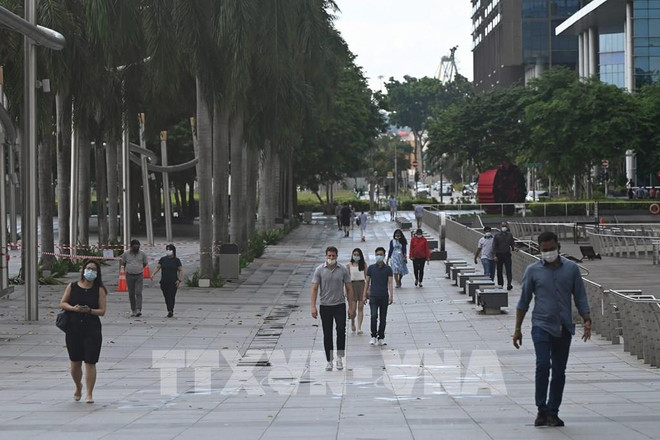 新加坡第二季度劳动力市场持续得到改善 ảnh 1