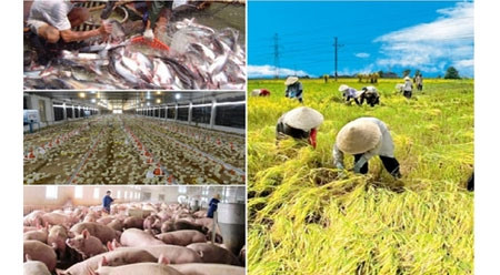 加入TPP后提升越南企业的竞争力 ảnh 1 加入TPP后提升越南企业的竞争力 ảnh 1