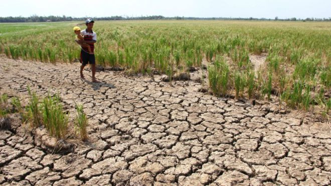 老挝放水帮助缓解湄公河下游旱情 ảnh 1 老挝放水帮助缓解湄公河下游旱情 ảnh 1